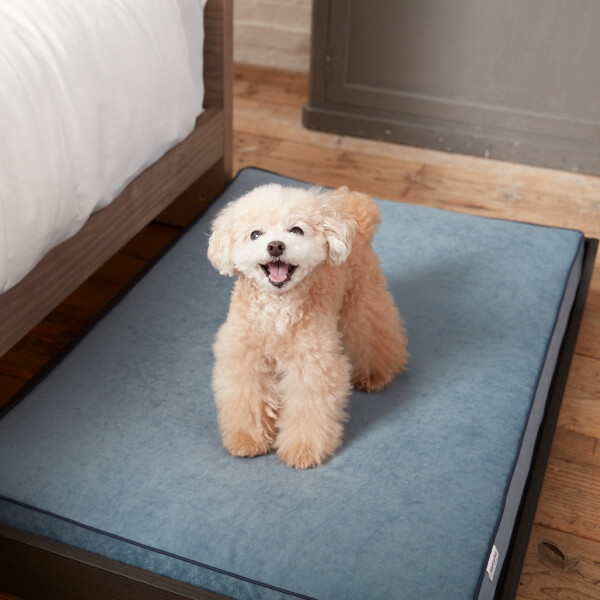 ペット対応商品